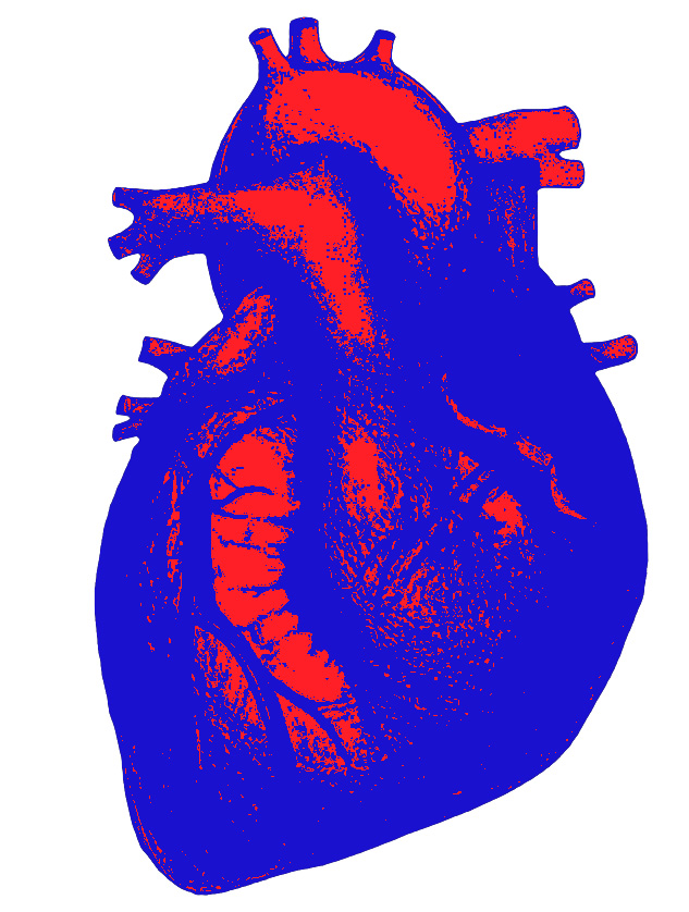 heart_colour